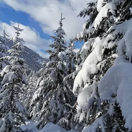 Haus Gruber * ツェル・アム・ツィラー