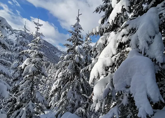 Haus Gruber * Zell am Ziller